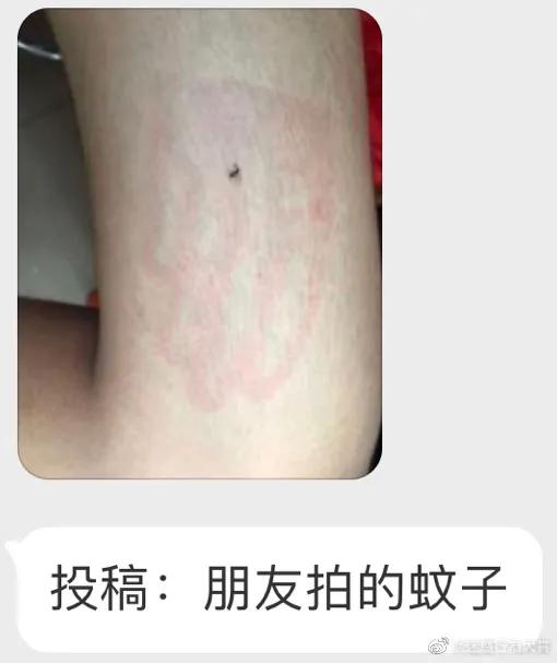 暴风哭泣第二弹,暴风哭泣后续