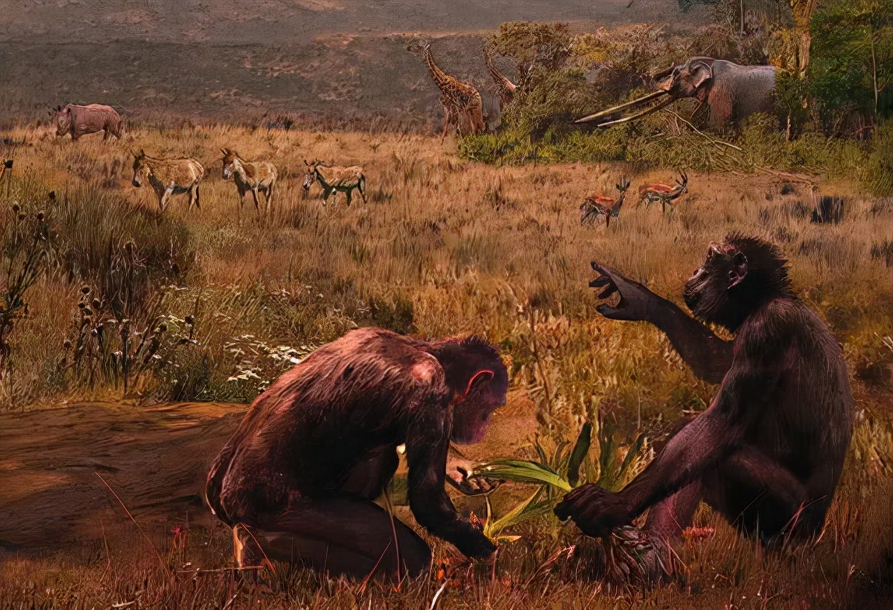 人类褪去体毛之后，裸体生活了100万年，为何后来又穿上了衣服？