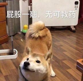 掉头发怎么办教你快速解决,掉头发怎么办教你一招快速解决