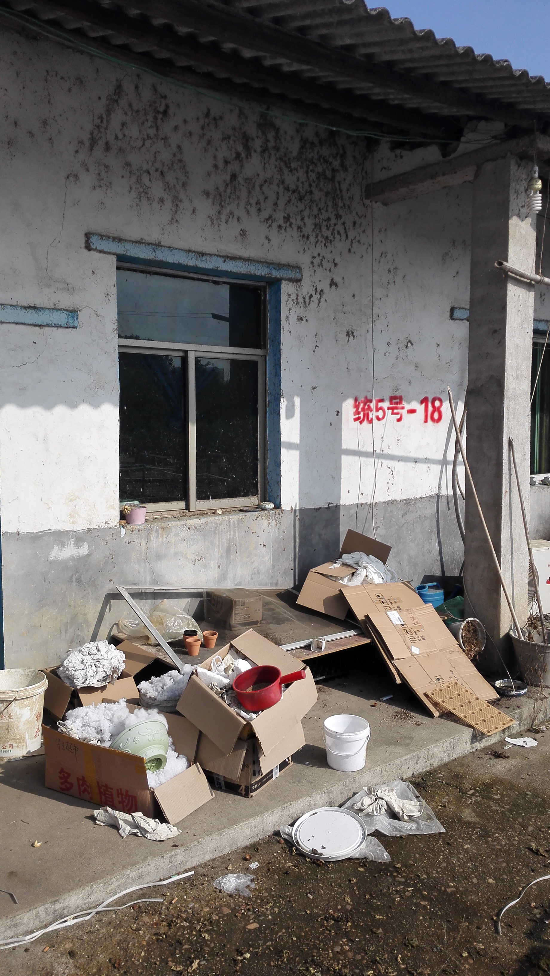 湖南最好的锦鲤养殖基地,湘潭锦鲤养殖