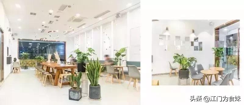 广州十大高颜值甜品店,江门小众茶饮馆有哪些