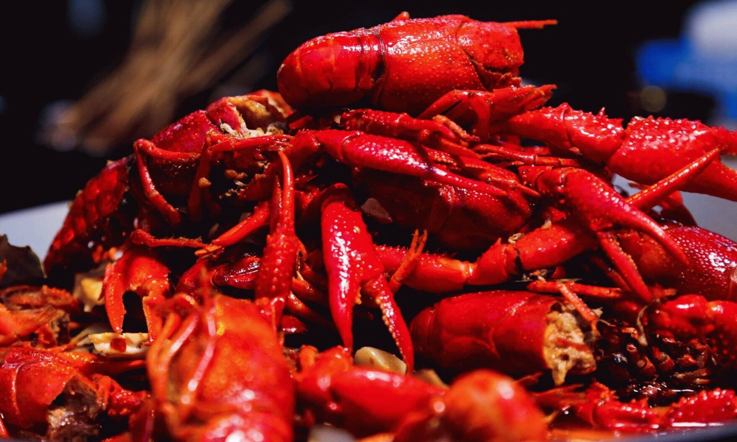 怎么清洗龙虾干净轻便又简单,如何清洗龙虾又快又干净