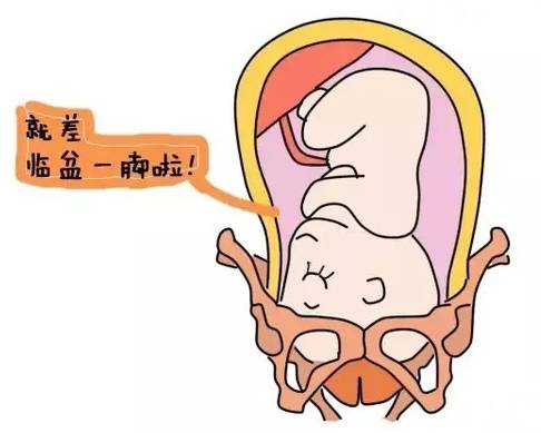 不显怀肚子小,不显怀但是肚子大