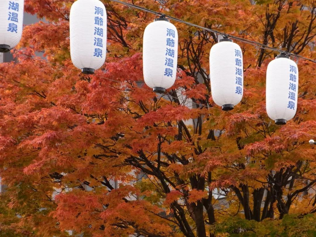 一条让你经历四季的旅游线路,一条绝美自驾游路线图