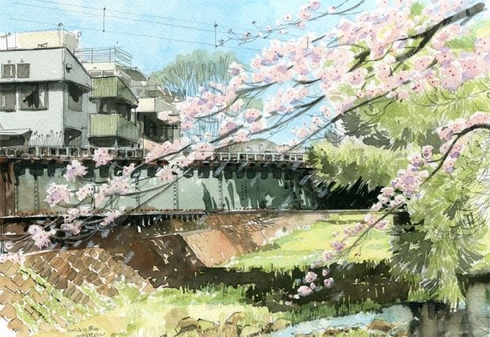 水彩樱花之境,日本水彩樱花
