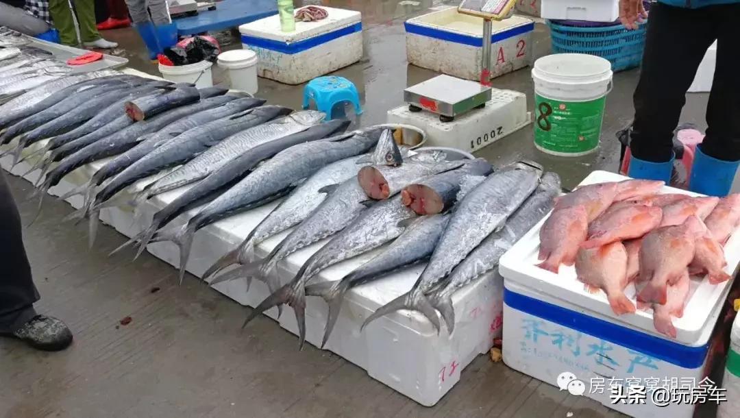 海南那么大，房车到底停哪里？纯干货分享海南三亚的窝窝