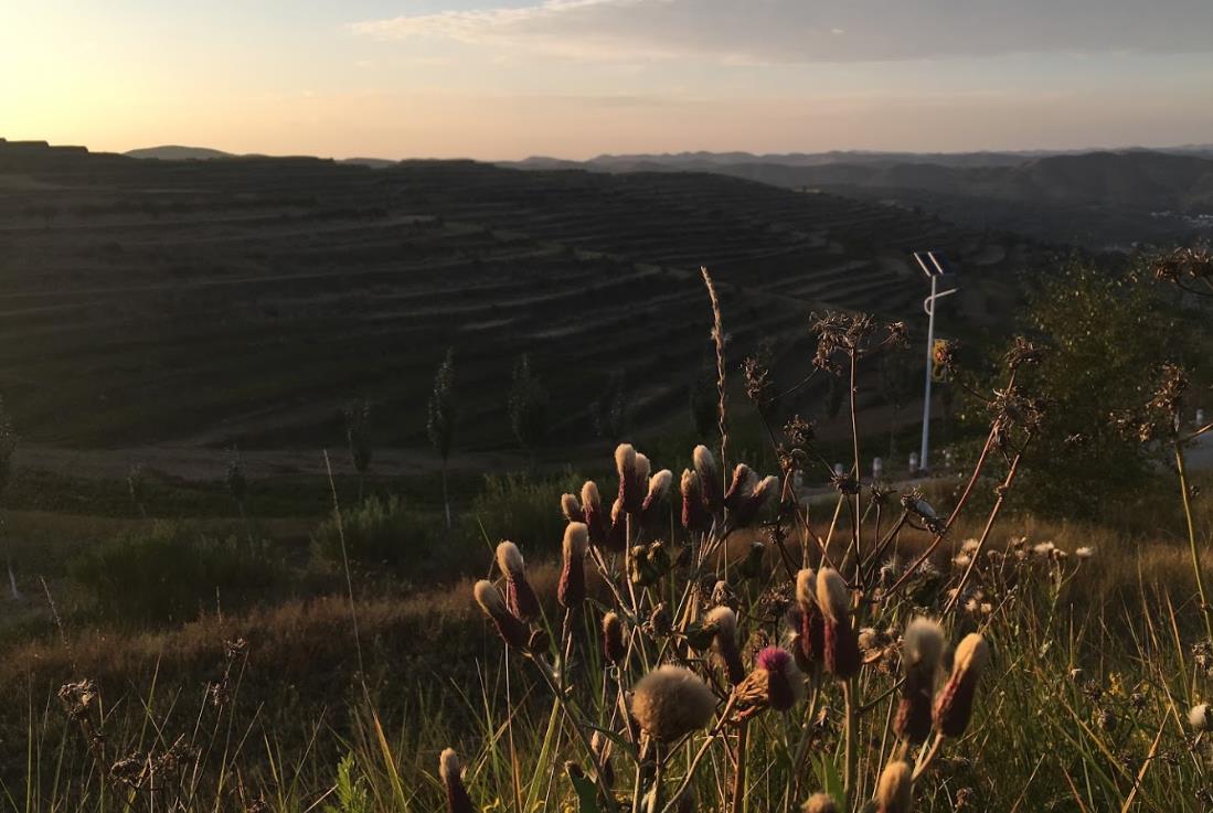 宁夏西吉县哪年退出贫困县,西吉县第七次全国人口普查公报