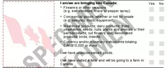 加拿大旅游必买古董,加拿大旅游签证获批要求