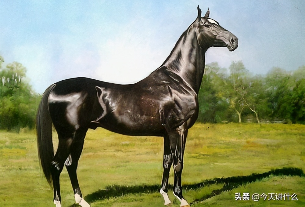 全球七大洲地理讲解,世界六大洲经济