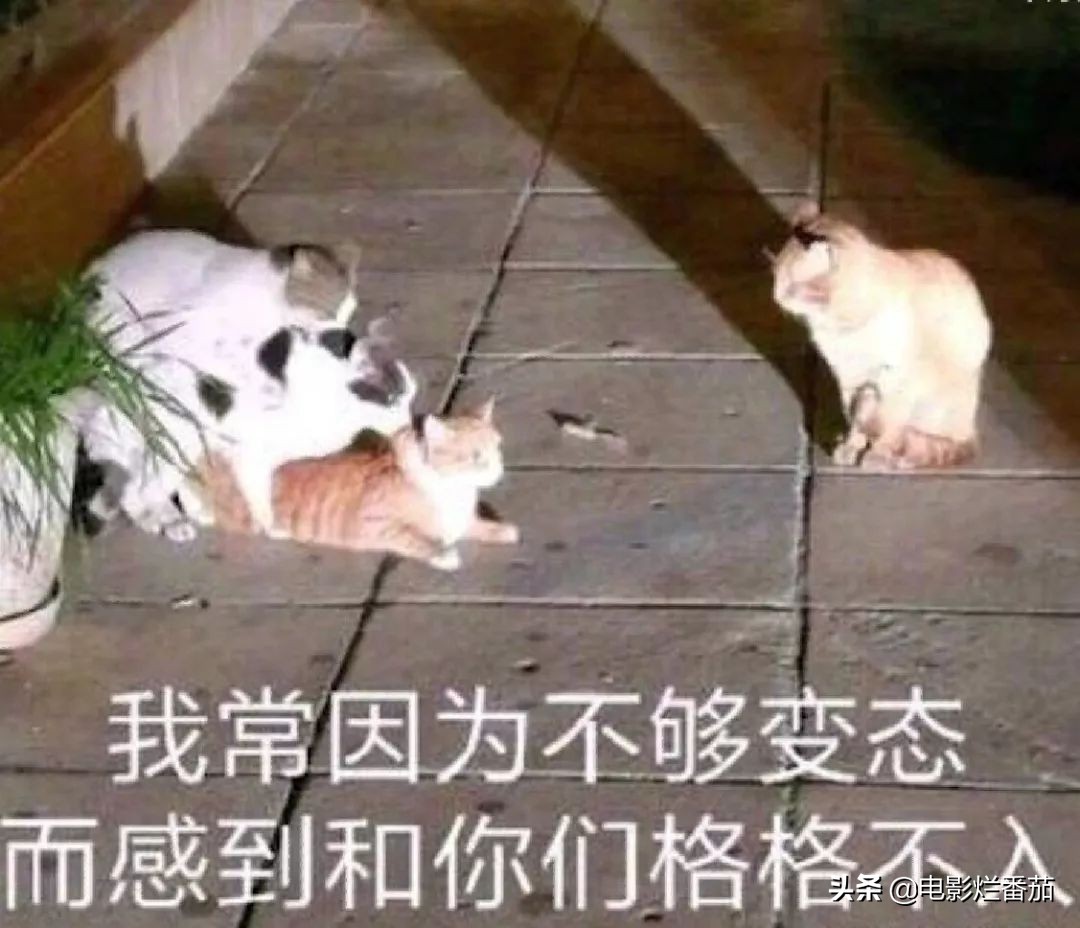 我颤颤巍巍地点开这部变态狗血剧，一拍大腿后悔安利晚了