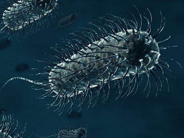 日常妇科常识有哪些,妇科癌症早期的5种症状