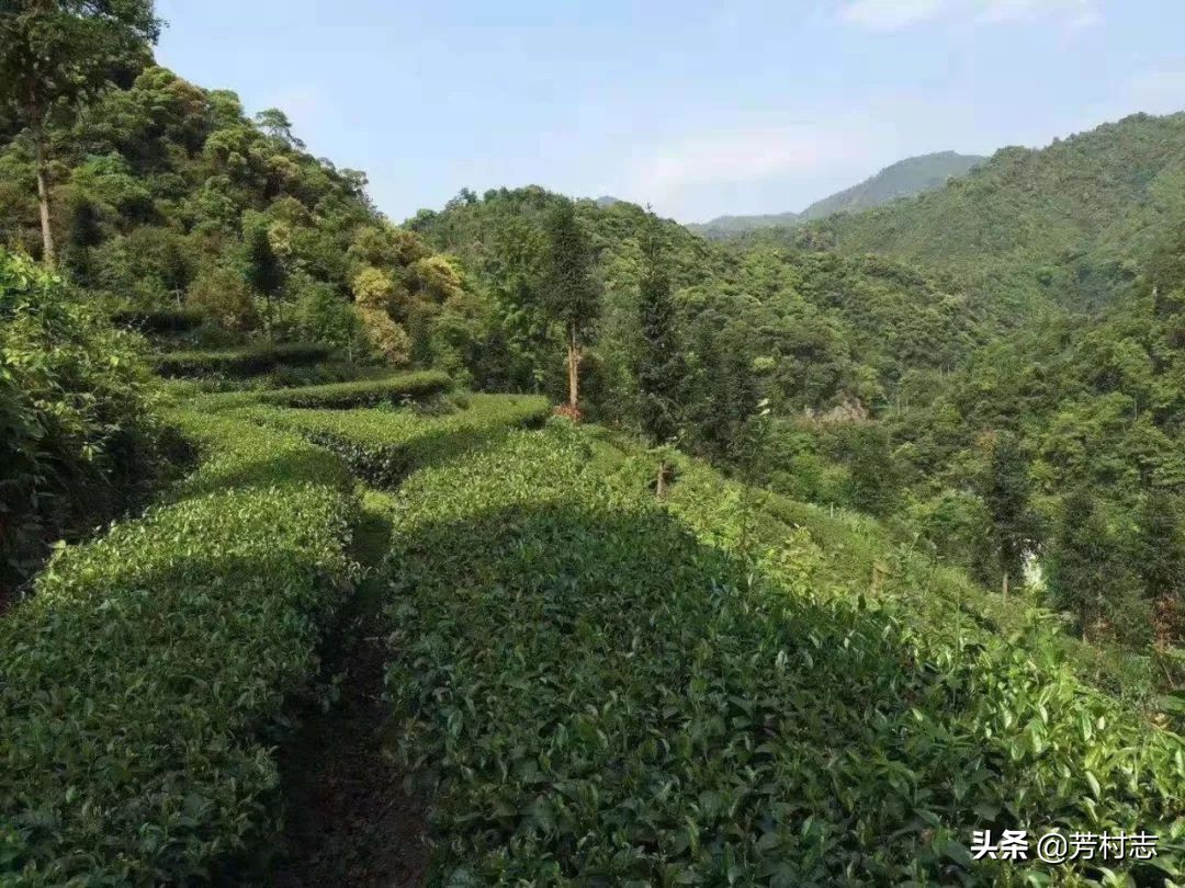 遇见·预见|开眼界！大广州下冰雹；国内油价将4连涨