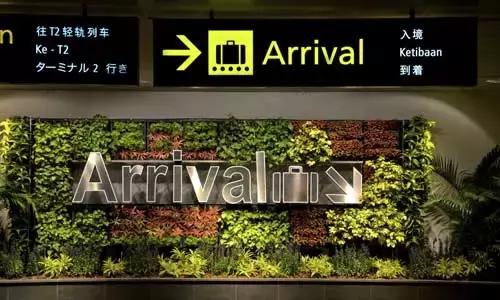 耗资85亿，把瀑布、热带雨林搬进机场！樟宜机场终于要开放了