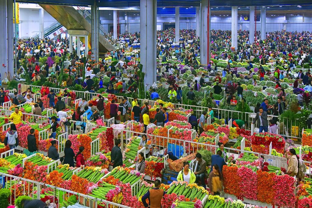 淘宝情人节,淘宝情人节卖什么产品最火