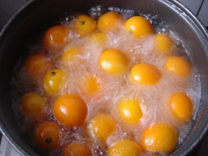 冰糖雪梨能用香梨代替吗,冰糖雪梨用什么梨子好一点