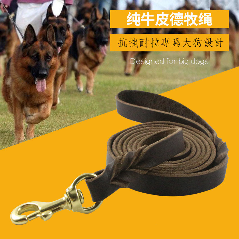 像德牧这样的大型犬，适合使用什么样的牵引绳？