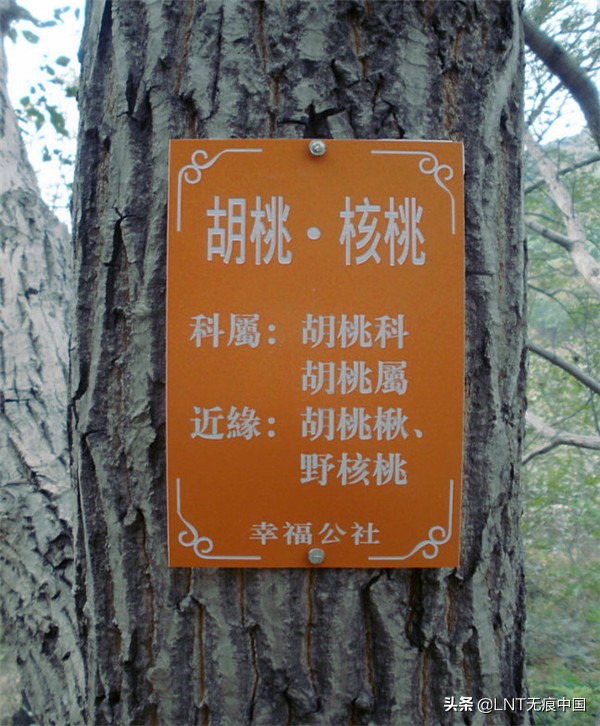 济南梯子山徒步登顶多长时间,济南云梯山徒步