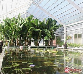 日本温泉旅馆第一名,日本第一温泉乡