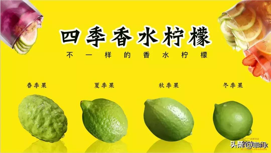 比奶茶好喝的柠檬茶 (疯狂的柠檬茶比奶茶易成瘾)