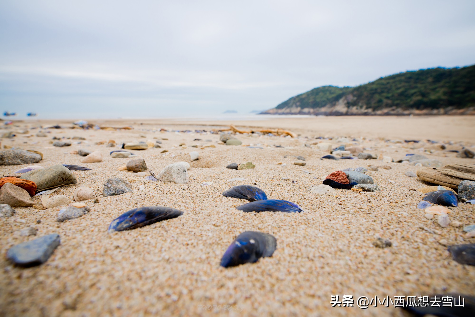 浙江苍南哪个沙滩最好,苍南168海岸线哪个沙滩最好看