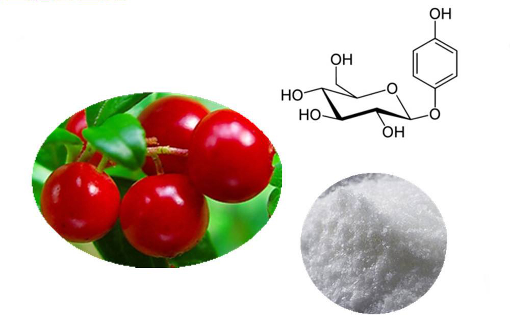 熊果苷美白有效吗,美白成分大揭秘你知道的有多少