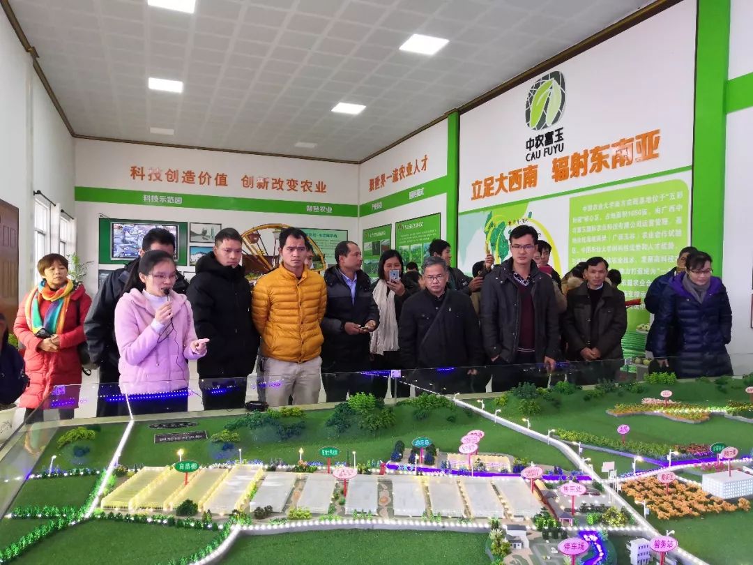 中农富玉大事记,中农富玉未来发展趋势