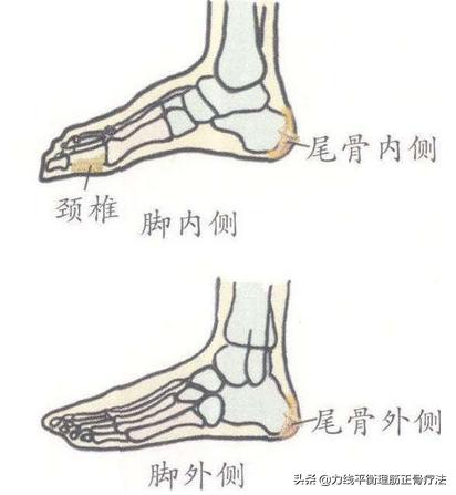 尾骨骨裂弯腰痛,尾骨骨折腰痛酸正常吗
