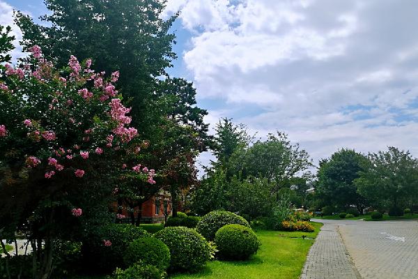 艺术与生活的交融别致居所,住在美术馆里是一种什么体验