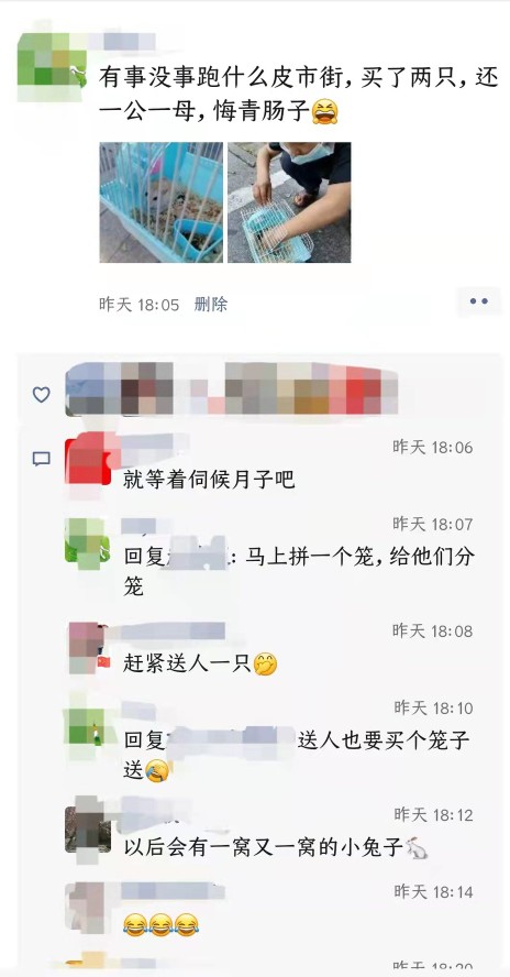 第一次养宠物就出糗了🙃