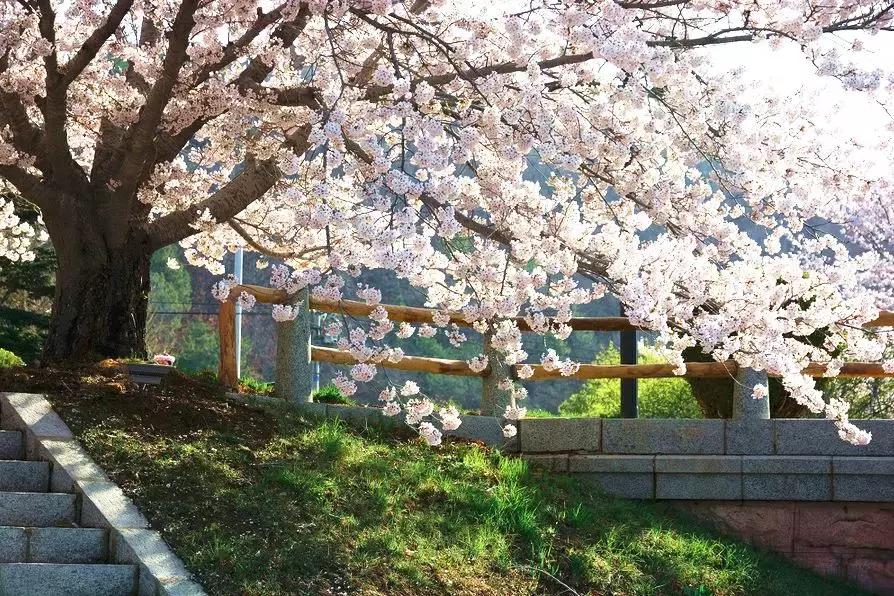 辽宁省有个小城市,辽宁最有魅力的小城