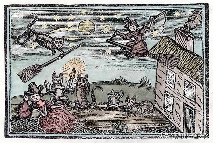 猫的故事高清图片,盘点猫的曾经故事