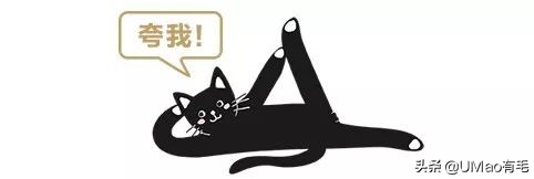 猫能被东西卡住动不了吗,猫好像被什么东西卡住一样