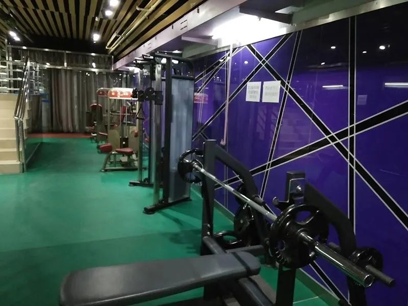 ibfa青少儿体适能课程,ibfa青少儿体适能