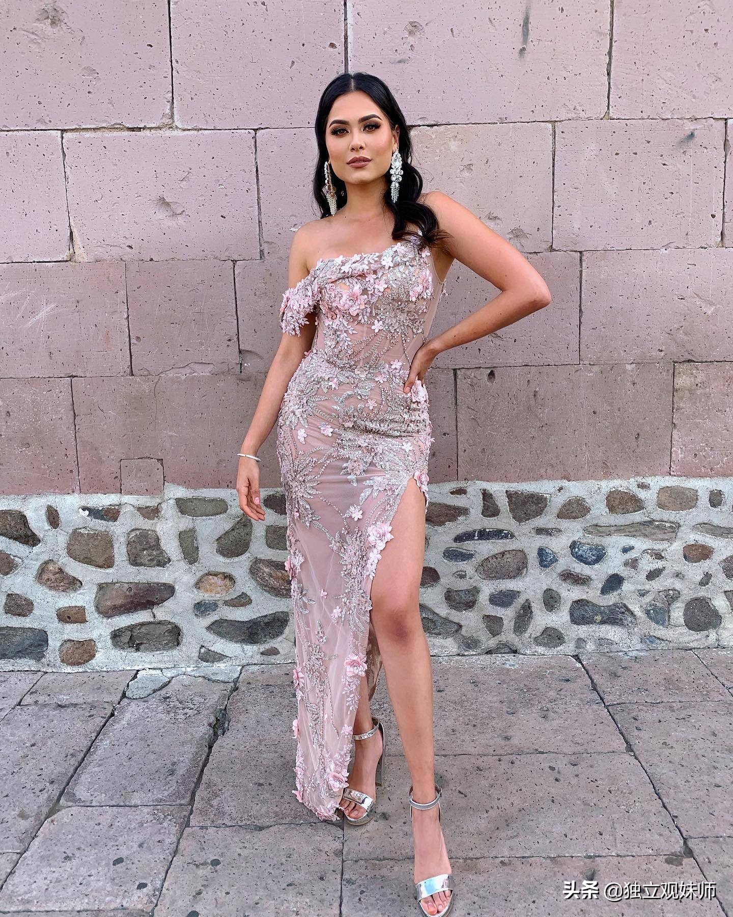 墨西哥环球小姐选美佳丽高清图片,环球小姐大赛墨西哥美女