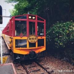 第一次去日本旅游好还是跟团好,第一次去日本跟团