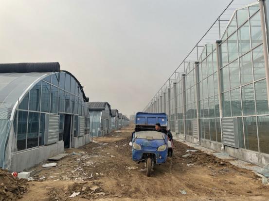 菏泽马寨村别墅,山东菏泽马寨村