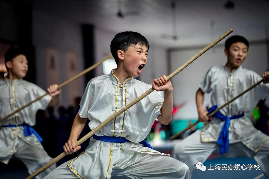 【扩散】一张一驰，文武斌心——民办斌心学校2020招生公告