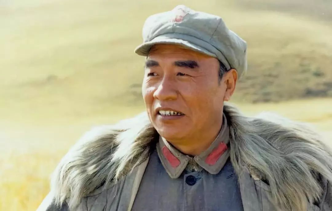 演过十大元帅的演员有哪些,明星饰演十大元帅