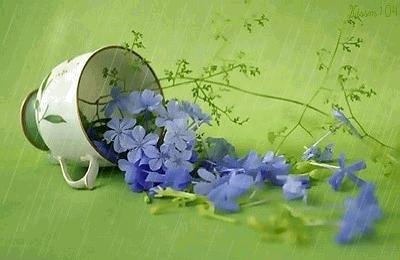 季羡林写日记,季羡林自传摘抄