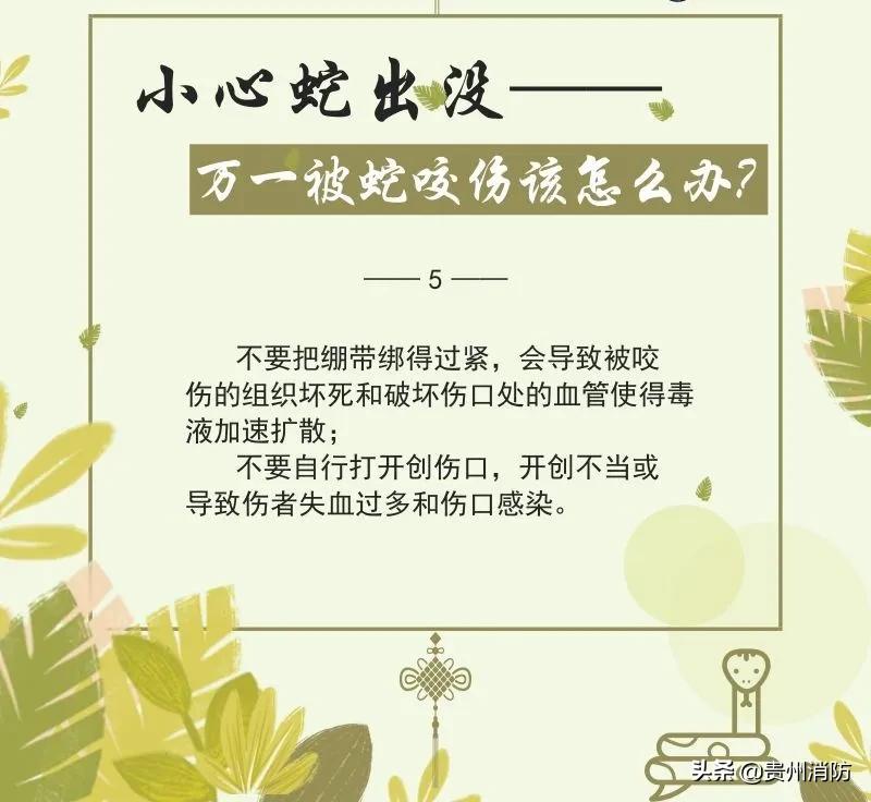 贵州头上有角的蛇,贵州头部是三角形的蛇