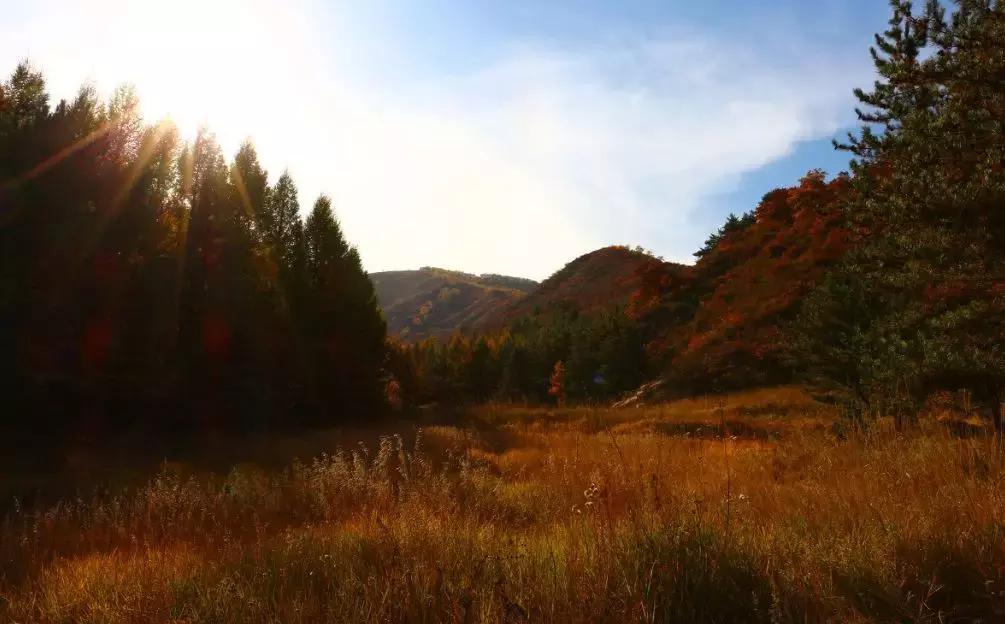 舟山一线海景酒店,舟山铂尔曼酒店婚宴