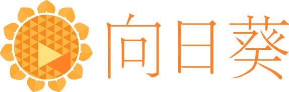 璐濋攼dsn,璐濋攼a20