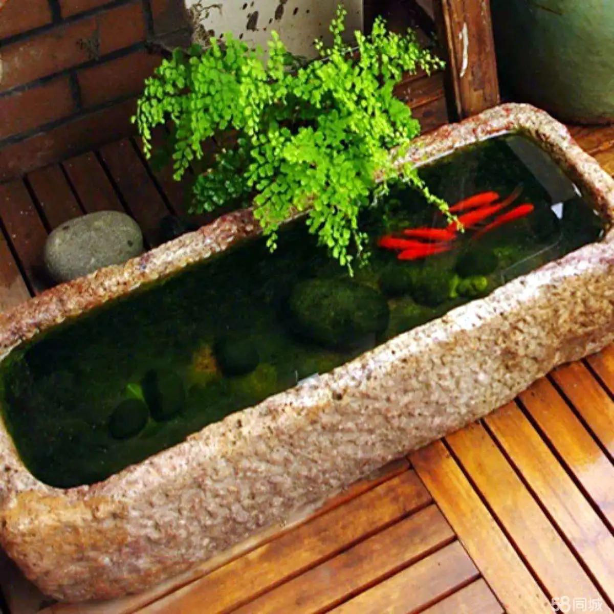 牛槽摆件哪里卖,办公室牛槽摆件的禁忌和讲究