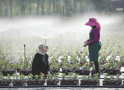 阿里巴巴发展历程中的重大事件,阿里巴巴怎么通过互联网成功的