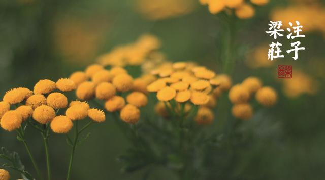 梁冬为什么要读历史,梁冬说读书