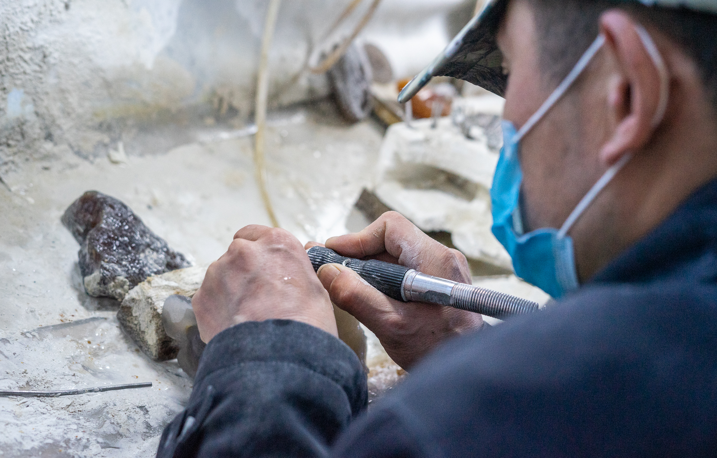 大自然的馈赠满山遍野的花,大自然的馈赠深山老林