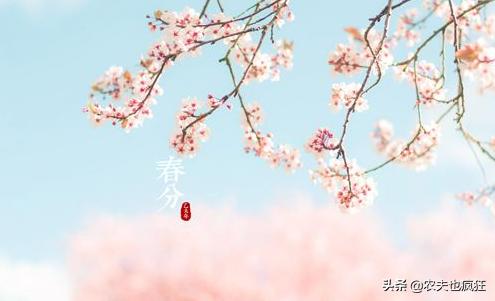 春分时节是指春分当天还是十五天,春分节气的常识有哪些