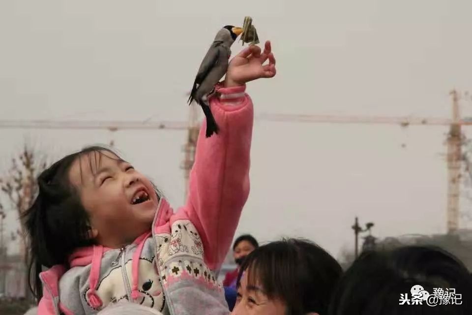 皇城根脚下,那是开封大爷遛鸟的天地