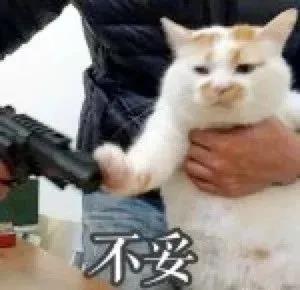 晚清末年，人们认为猫毛蓄电可以治病