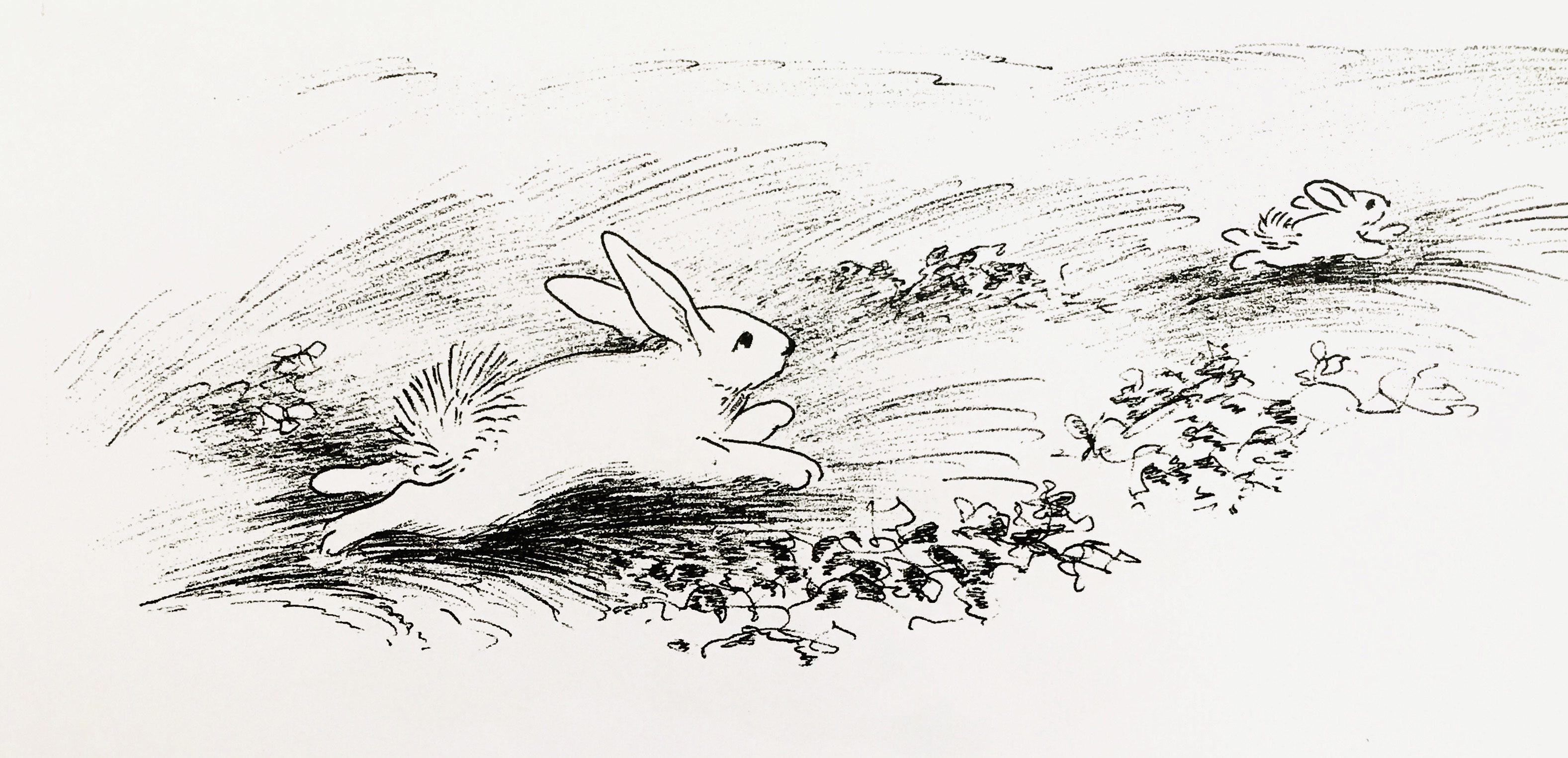 17张一只铅笔就搞定的黑白插画，画风简单，100年来却让人着迷